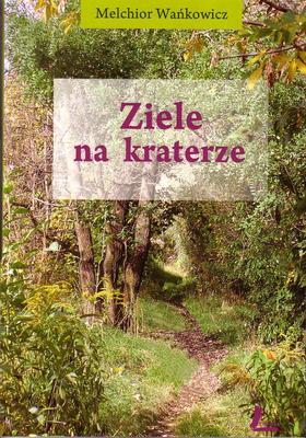 Ziele na kraterze (Paperback)