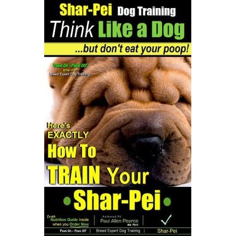 shar pei puppy training