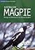 Australian Magpie [OP]: Biology and Behaviour of an Unusual Songbird (Natural History)