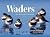 Waders: The Shorebirds of A...