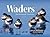 Waders: The Shorebirds of Australia