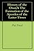 History of the Church The Formation of the Apostles of the La... by Phil Friedl