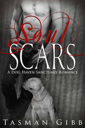 Soul Scars (Dog Haven Sanctuary Romance, #2)