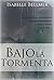 Bajo la tormenta