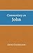 Commentary on John