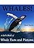 Whales! A Kid's Book of Whale Facts and Pictures of Whales