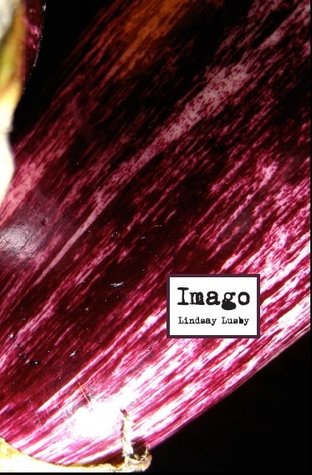 Imago