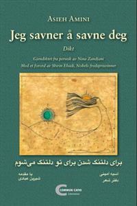 Jeg savner å savne deg