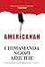 Americanah by Chimamanda Ngozi Adichie