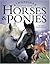 Horses and Ponies