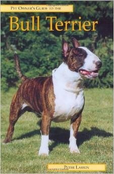 Pet Owner's Guide to the Bull Terrier