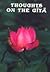Thoughts on the Gita by Hansa Jayadeva Yogendra