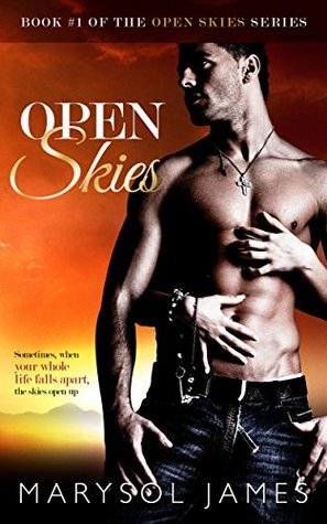 Open Skies (Open Skies, #1)
