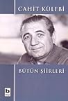Bütün Şiirleri by Cahit Külebi