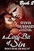 A Little Bit Of Sin: Book Two