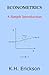 Econometrics: A Simple Intr...
