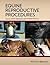 Equine Reproductive Procedures
