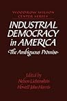 Industrial Democracy in America by Nelson Lichtenstein