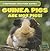 Guinea Pigs Are Not Pigs! (Confusing Creature Names, 1)