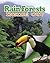 Rain Forests Inside Out