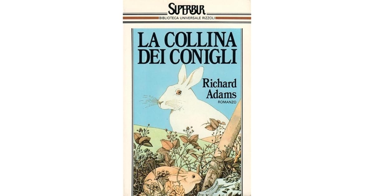 la collina dei conigli cartone
