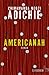 Americanah by Chimamanda Ngozi Adichie