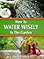 How To Water wisely In The ...