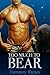 Too Much To Bear (Shifters of Spellholm Forest: The Bears, #2)
