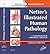 Netter's Illustrated Human Pathology Updated Edition E-book by L. Maximilian Buja