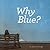 Why Blue? (Xist Children's Books)