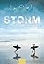 Storm by Miriam Bruijstens