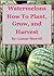 Watermelons How to Plant, Grow, and Harvest for the Backyard Gardener