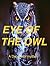 Eye Of The Owl