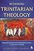 Rethinking Trinitarian Theo...