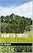 Painted Turtle