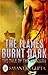The Flames Burnt Dark : The...