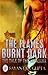 The Flames Burnt Dark  by Sayantan Gupta