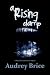 A Rising Damp by Audrey Brice