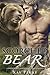 Scorched Bear by Kay Perry