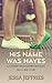 His Name Was Hayes (Garner-Willoughby Brothers, Book 4) (Garner-Willoughby Trilogy)