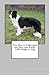 New How to Understand and Train your Border Collie Puppy or Dog