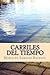 Carriles del Tiempo by Maria do Sameiro Barroso