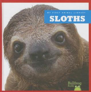 Sloths (Bullfrog Books: My First Animal Library)
