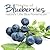 Joy of Blueberries: Nature's Little Blue Powerhouse The Joy of Blueberries Cookbook