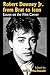 Robert Downey Jr. from Brat to Icon: Essays on the Film Career