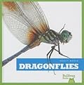 Dragonflies
