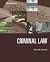 Criminal Law by John M. Scheb II