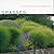 Grasses by Nancy J. Ondra