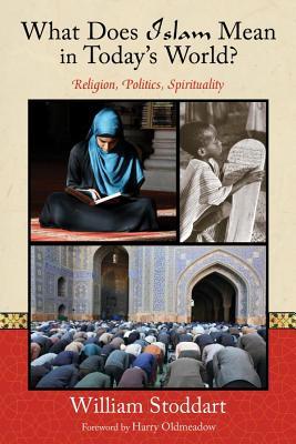 What Does Islam Mean in Today's World?: Religion, Politics, Spirituality
