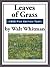 Leaves of Grass First Edition by Walt Whitman